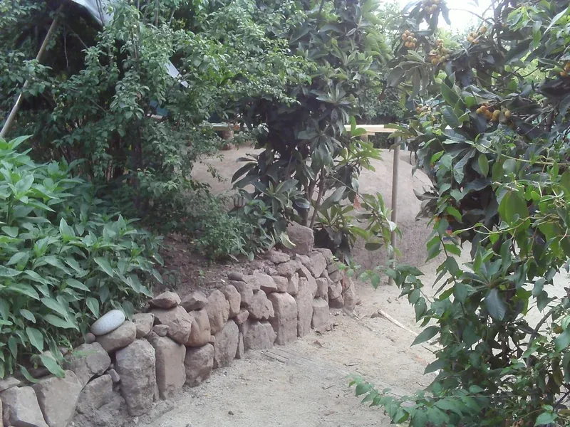 Un sendero de tierra y gravilla bordeado por un muro bajo de piedras sin labrar, entre vegetación densa y árboles frutales.